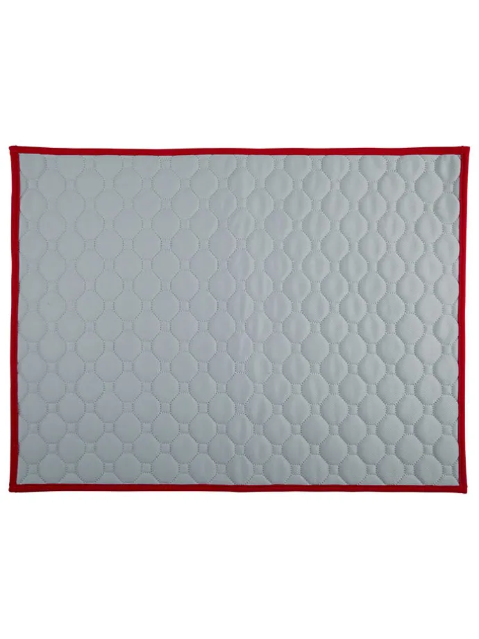 Welpen-Trainingsmatte in Grau - (L)60 x (B)45 cm