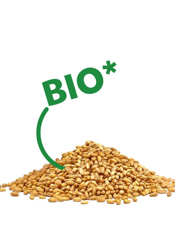 Wärmekissen für Nacken/Schulter "Löwe Juri" in Rot - (L)36 x (B)24 cm