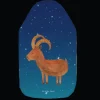Wärmflasche Sternzeichen Steinbock ohne Spruch in Sternenhimmel Blau