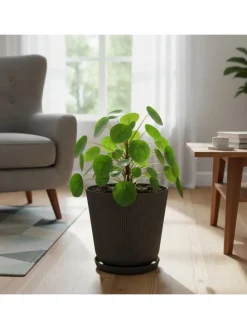 2x Blumentopf in Dunkelgrau - (H) 20 x Ø 20 cm