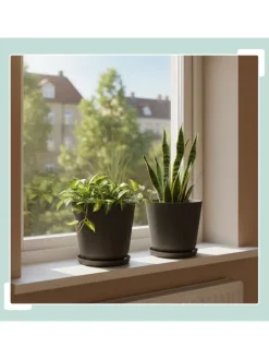 2x Blumentopf in Dunkelgrau - (H) 20 x Ø 20 cm