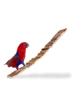 3x Hängebrücke in Natur - (B)55 x (T)10 cm