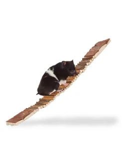 10x Hängebrücke in Natur - (B)55 x (T)10 cm