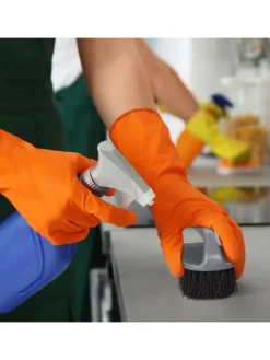 12x Scheuerbürste in Grau