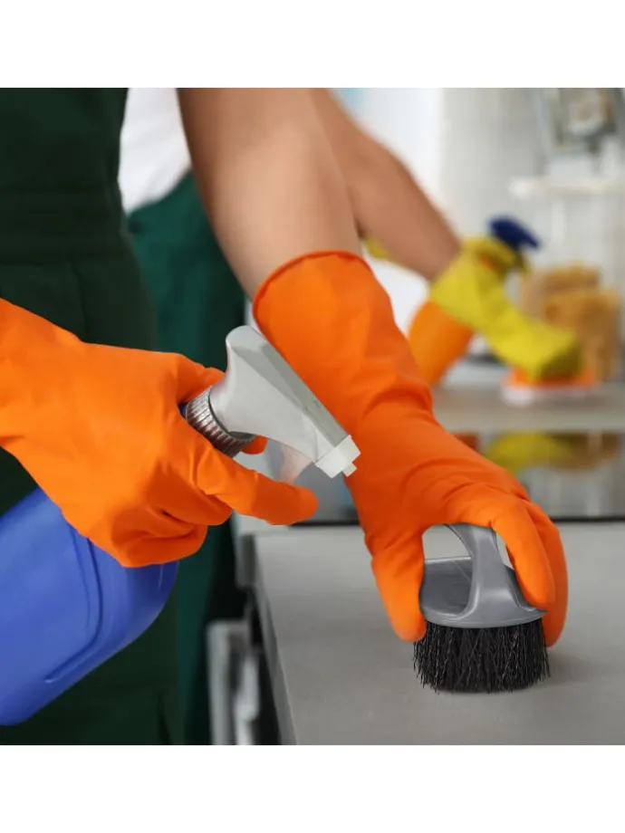 12x Scheuerbürste in Grau